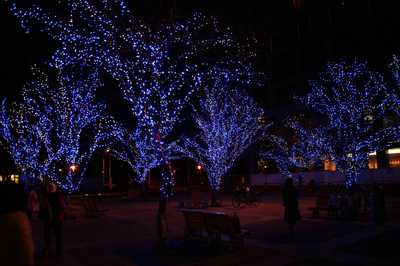 070127c.jpg