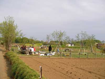 070423b.jpg