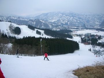 080328B.jpg