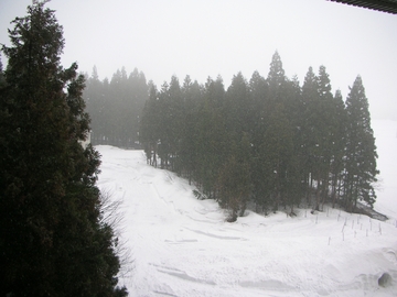 080329A.jpg