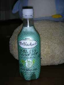 080809c.jpg