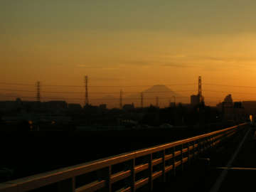 090208c.jpg
