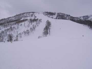 090405e.jpg