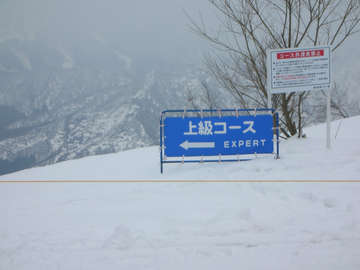 090407b.jpg