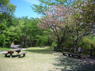 090428c.jpg