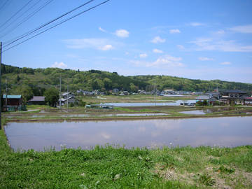 090428d.jpg