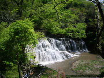 090428e.jpg