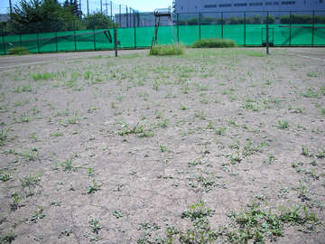 090727b.jpg