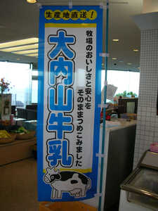 090804C.jpg