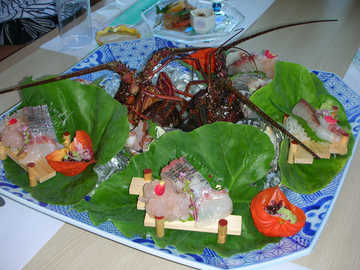 090804E.jpg