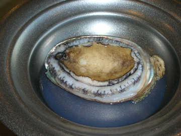 090804F.jpg