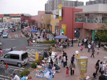 100313a.jpg