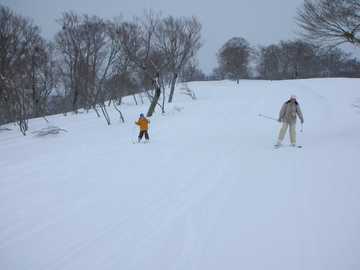 20080327E.jpg