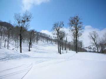 20080327H.jpg