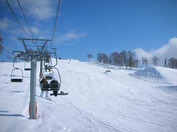 20080327J.jpg