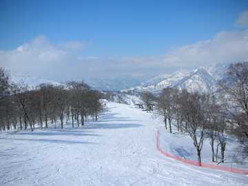20080327K.jpg