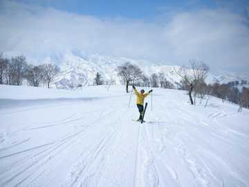 20080327L.jpg