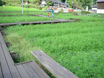 20091003c.jpg