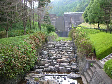 20091003e.jpg