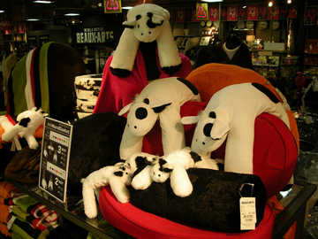20091011a.jpg