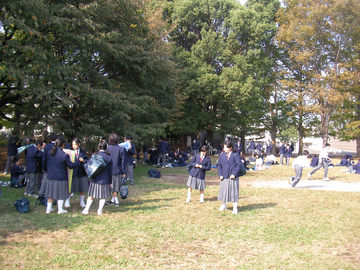 20091029c.jpg