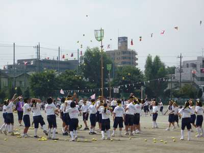 20110910b.jpg