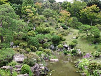 DSCF2709.jpg