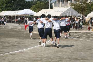 IMG_6981.jpg