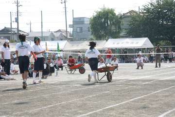 IMG_7066.jpg