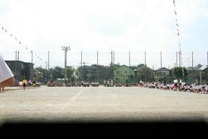 IMG_7248.jpg