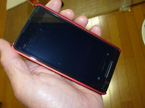 P1010357.jpg