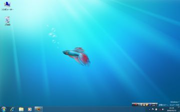 Windows7.jpg
